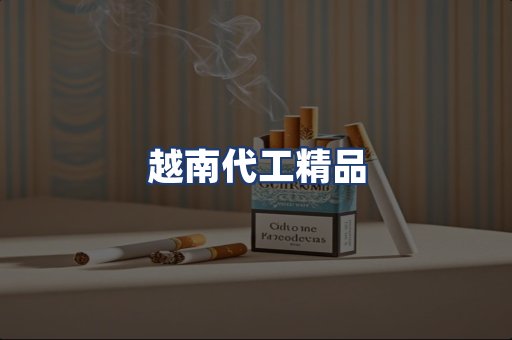 越南代工精品